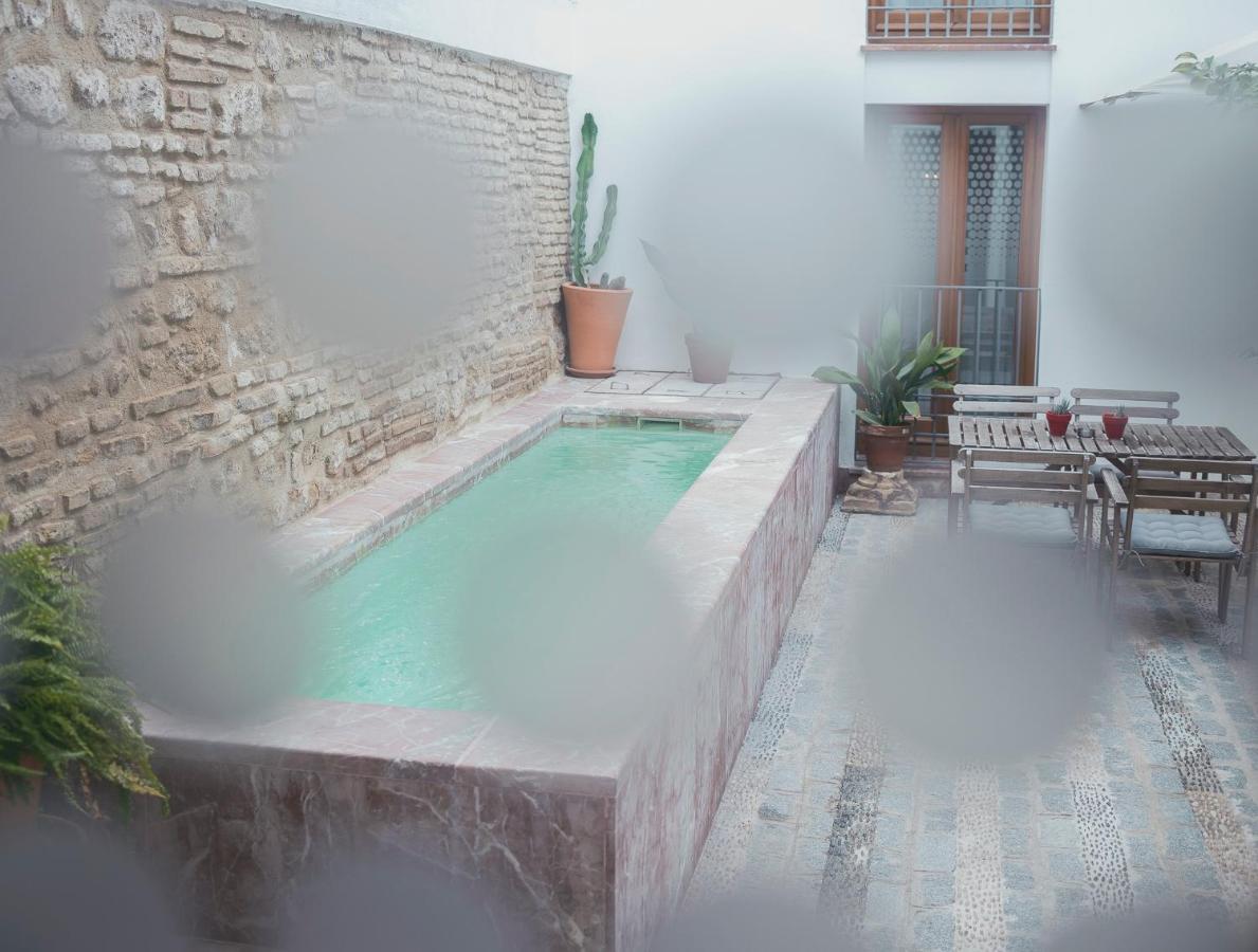 Grupo Limcotel Loft Trigo 13 Piscina コルドバ エクステリア 写真